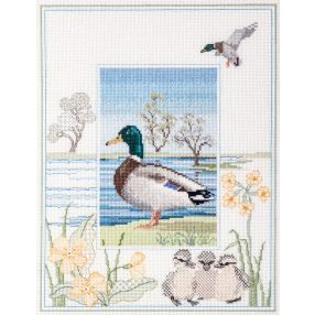 dwwil08  Mallard 26,9x34,2cm