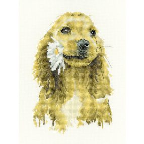 hc-1896a Daisy Cocker Spaniel 13x19,5 cm