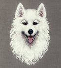 pj-7305 Samoyed 18,5x24,5 cm