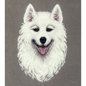 pj-7305 Samoyed 18,5x24,5 cm