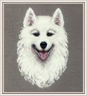 pj-7305 Samoyed 18,5x24,5 cm