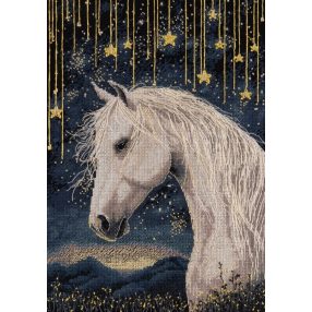 pj-7537 Under the starry sky 21x30 cm